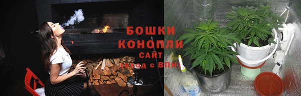 прущие грибы Беломорск