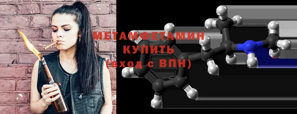 прущие грибы Беломорск