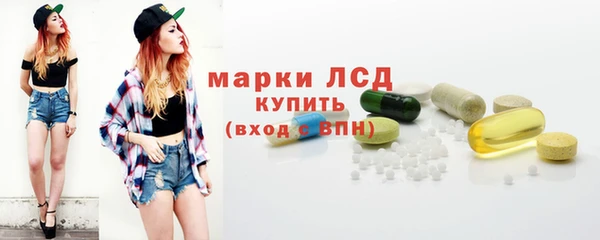 прущие грибы Беломорск