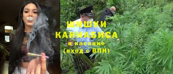 прущие грибы Беломорск