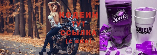 прущие грибы Беломорск