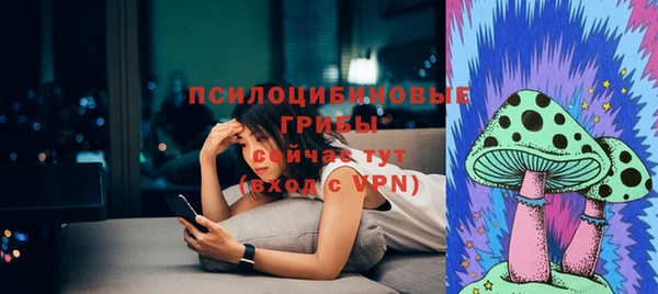 не бодяженный Белокуриха