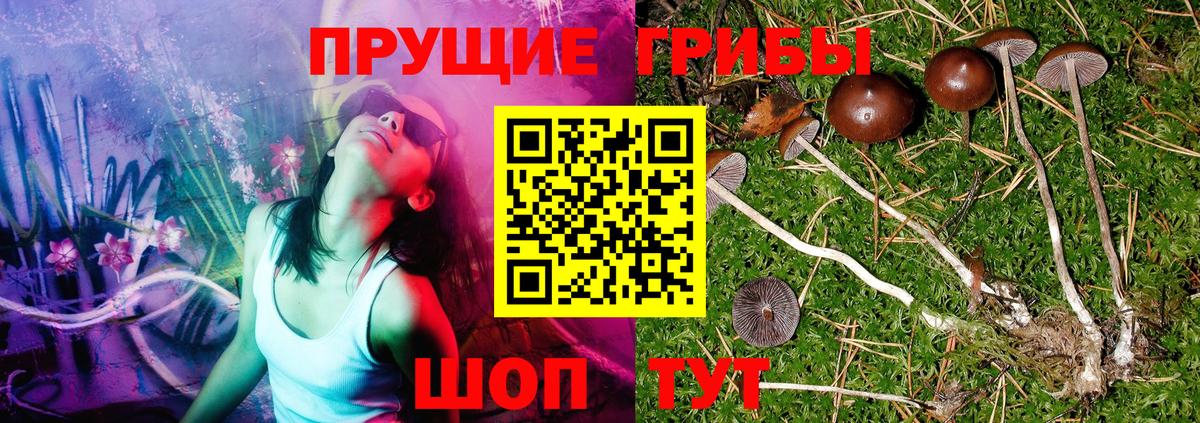 Псилоцибиновые грибы Magic Shrooms Пыть-Ях