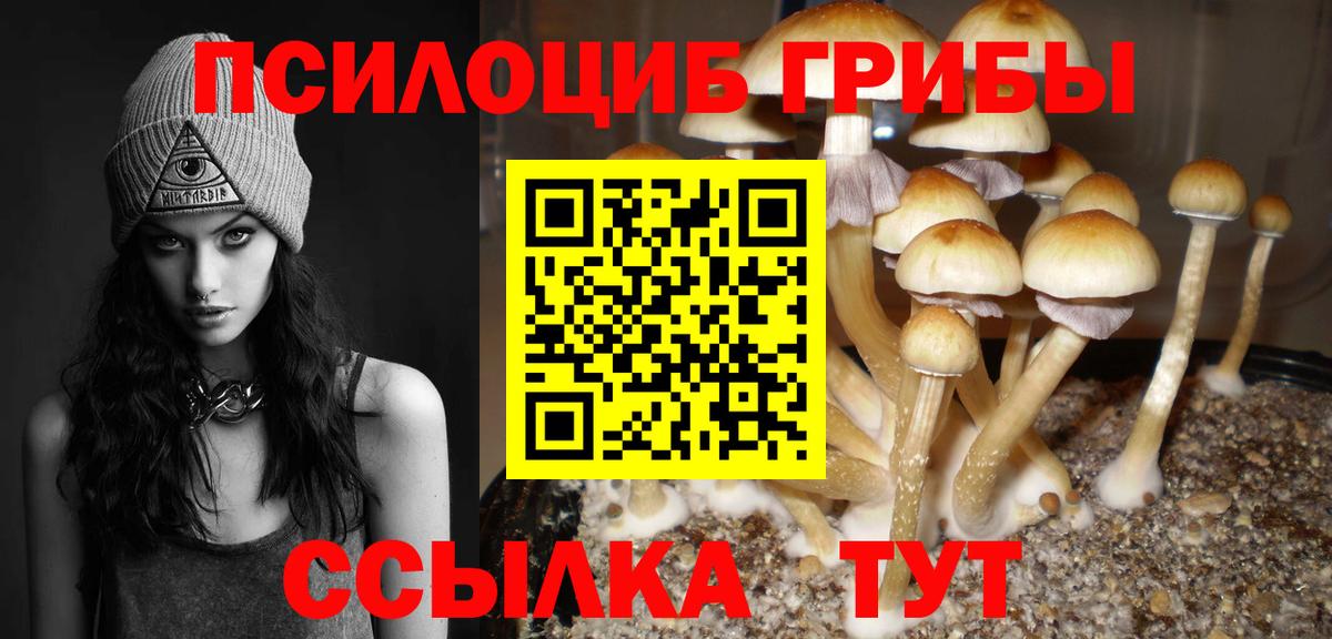Галлюциногенные грибы GOLDEN TEACHER  закладка  Пыть-Ях  Вход с VPN 